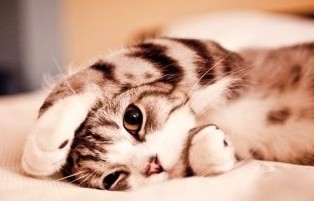 男生搞笑网名，最搞笑的男生网名：网名加载失败