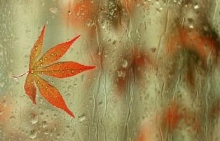 好听的六字网名大全:好菇涼ら爸媽造