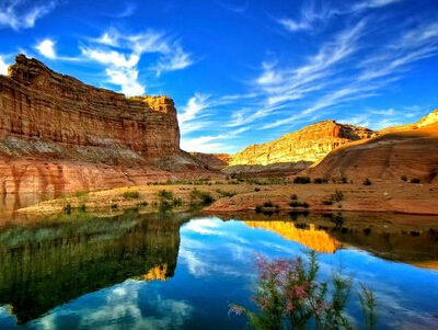 最新的好听网名大全