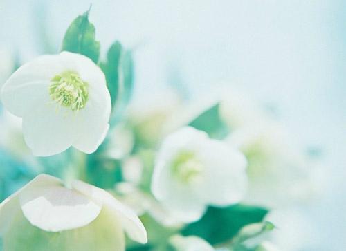 有意境优美好听的网名，爱情取名叫珍惜