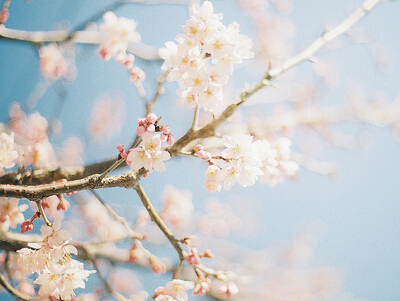 优美的游戏名字,有意境的游戏名字