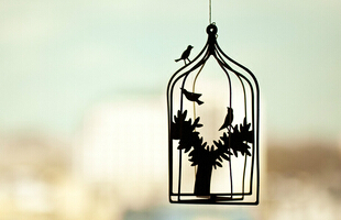 好听有意境的网名：匆匆那年丶时光静好