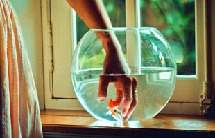 简约风格的名字：浅巷墨漓°