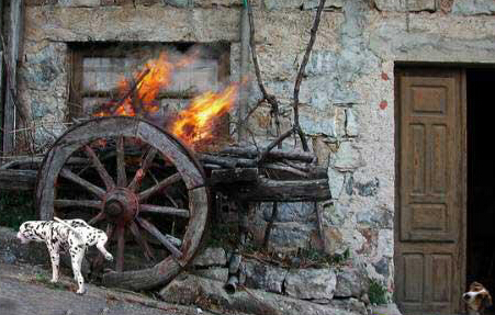 很逗又很贱的游戏名,贱一点的游戏玩家名字