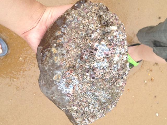 最恶心的另类网名，看了让人想吐的重口味名字