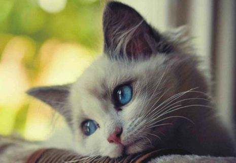 代表人忧郁不快乐的网名，孤独忧郁的qq名字