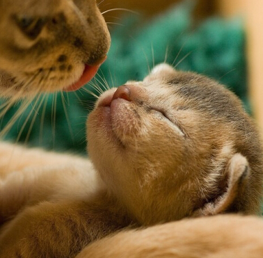 酷酷的网名设计