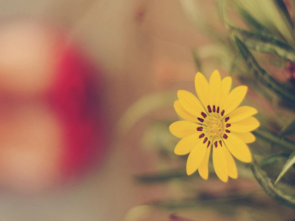 带着回忆和怀念的网名,怀念那年夏天、那个伱﹏