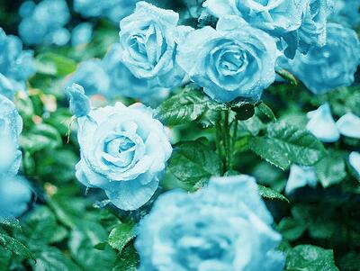 潮流的网名大全，潮一点的网名