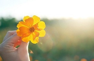 最炫的QQ昵称大全,最酷的昵称:唱国歌也跑调