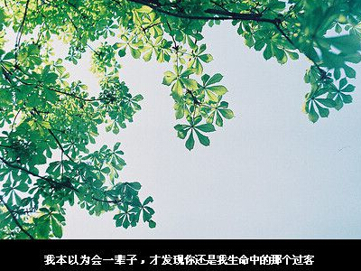 2015长网名大全:有一种爱叫做永远不联系