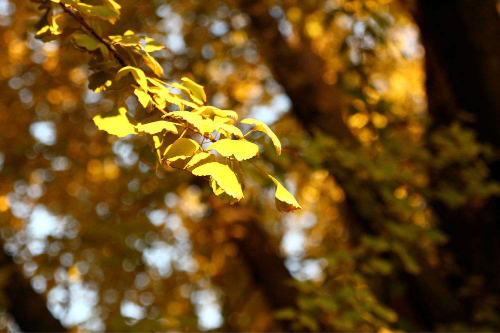 很阳光很温暖的网名,暖暖的很贴心