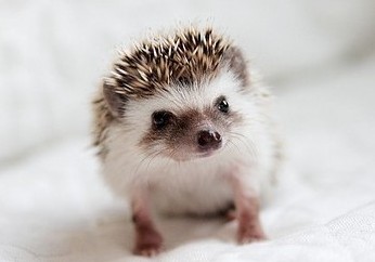 男生长网名:沵的一笑へ国破家亡っ