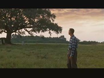 阿甘正传经典台词 每一句都能让人深思