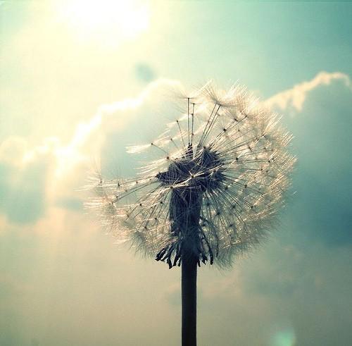 高雅有内涵的微信名字,低调奢华有内涵的网名