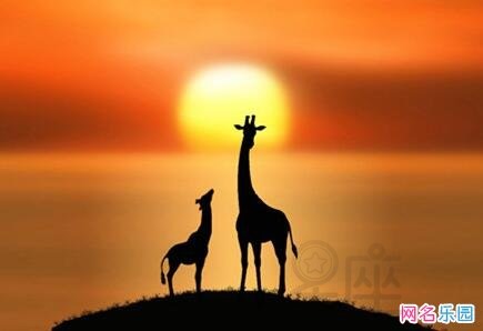 大气有风度的网名，有风度的游戏昵称